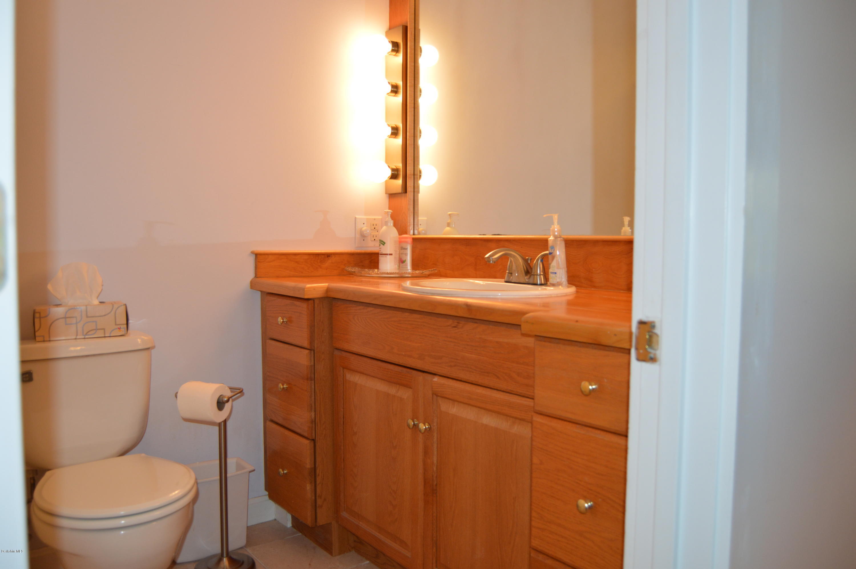 133 Adams Road Williamstown, MA 01267 - Photo 26 of 28 2019-06-03 07.18.48