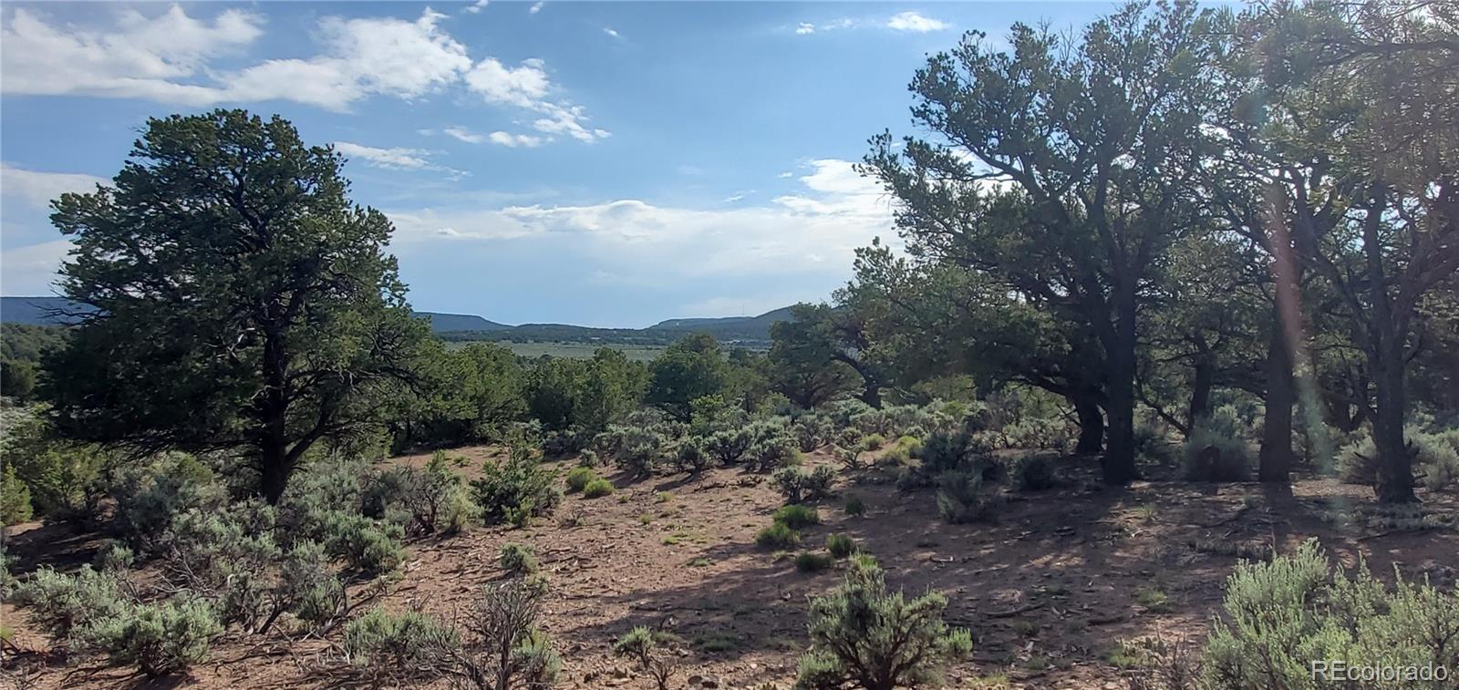 3385 Mitchell Road Fort Garland, CO 81133 - Photo 7 of 14 Gallery Image 7