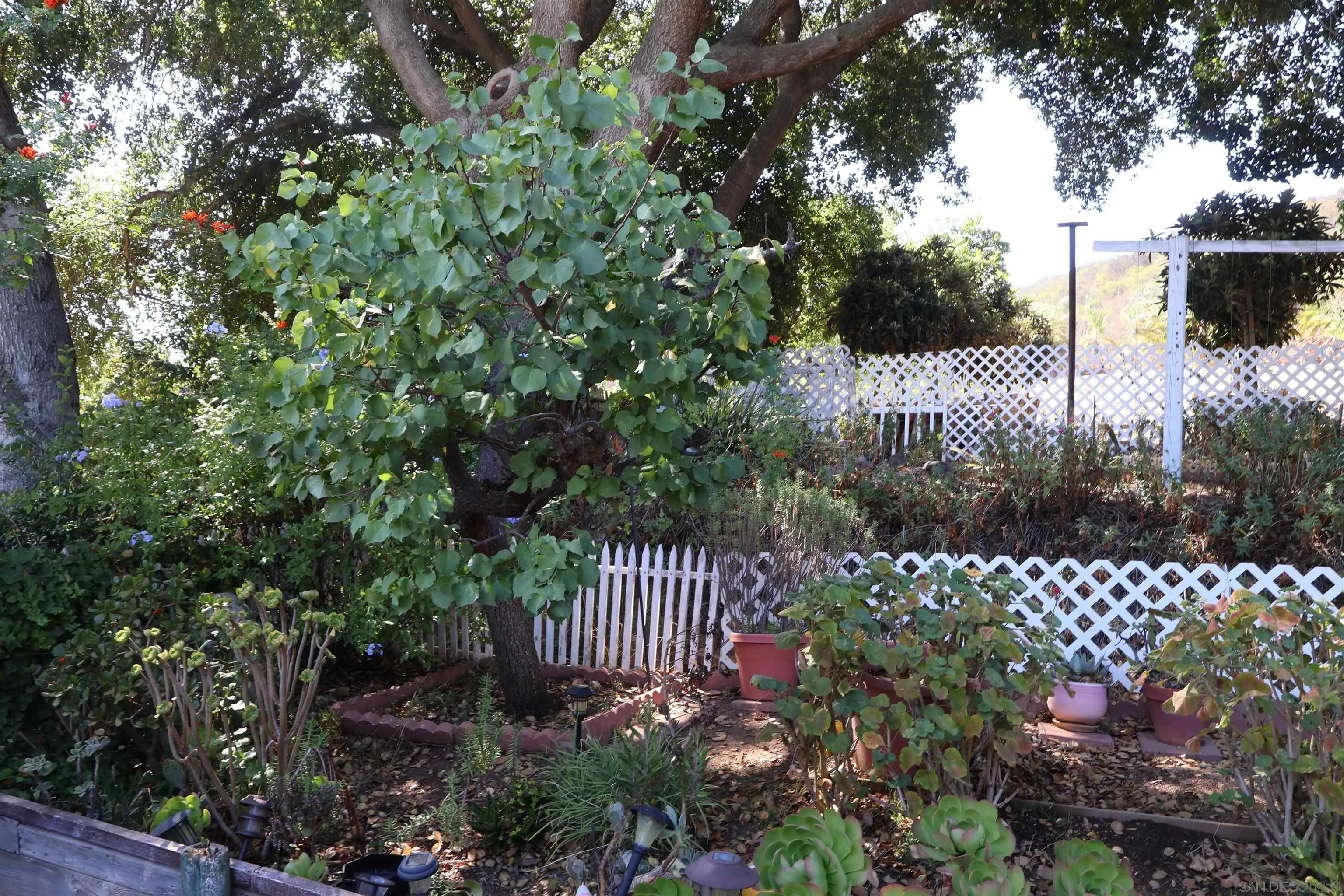 4747 Oak Crest Road, Unit 48 Fallbrook, CA 92028 - Photo 21 of 22 a view of a kid s park