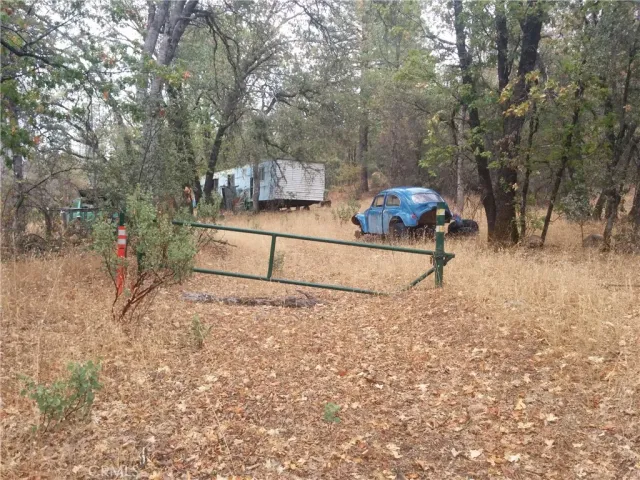 a view of a backyard