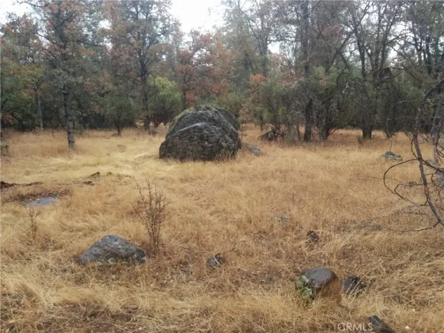 a backyard of a house