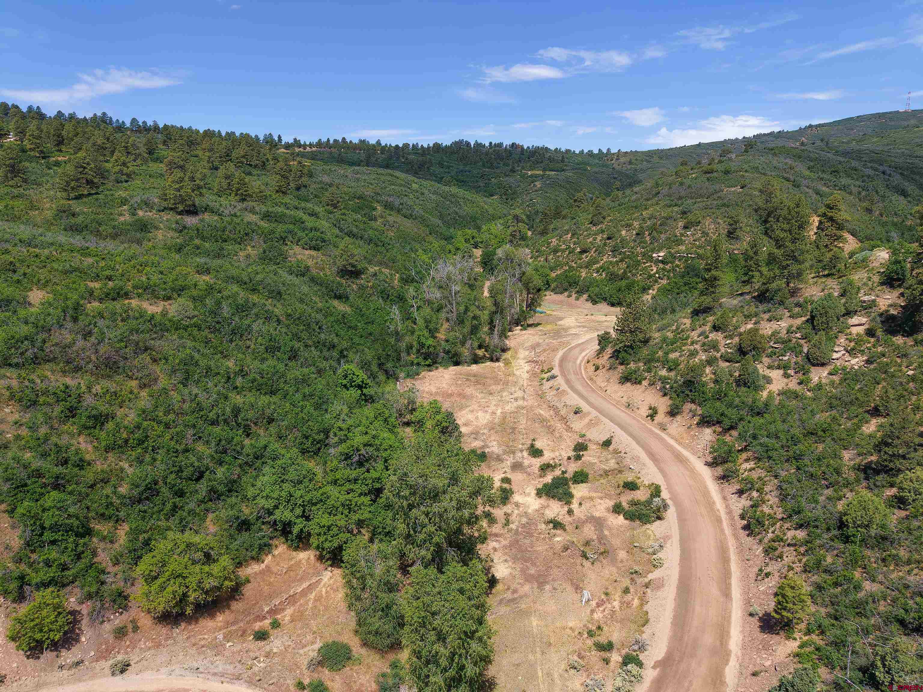 224 West Durango Ridge Road Durango, CO 81301 - Photo 4 of 16