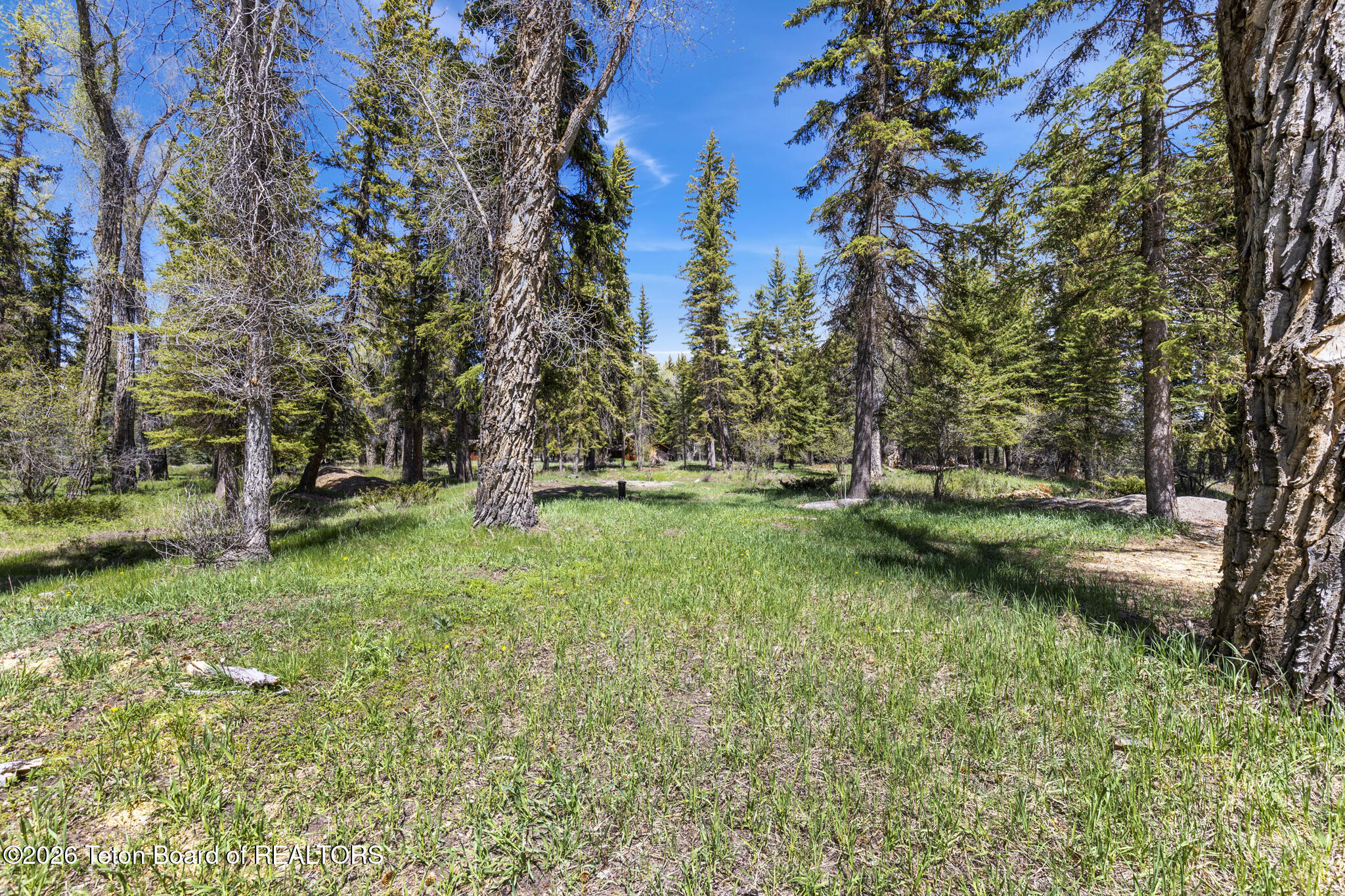 455 East Buck Mountain Road Jackson, WY 83001 - Photo 24 of 27 Land