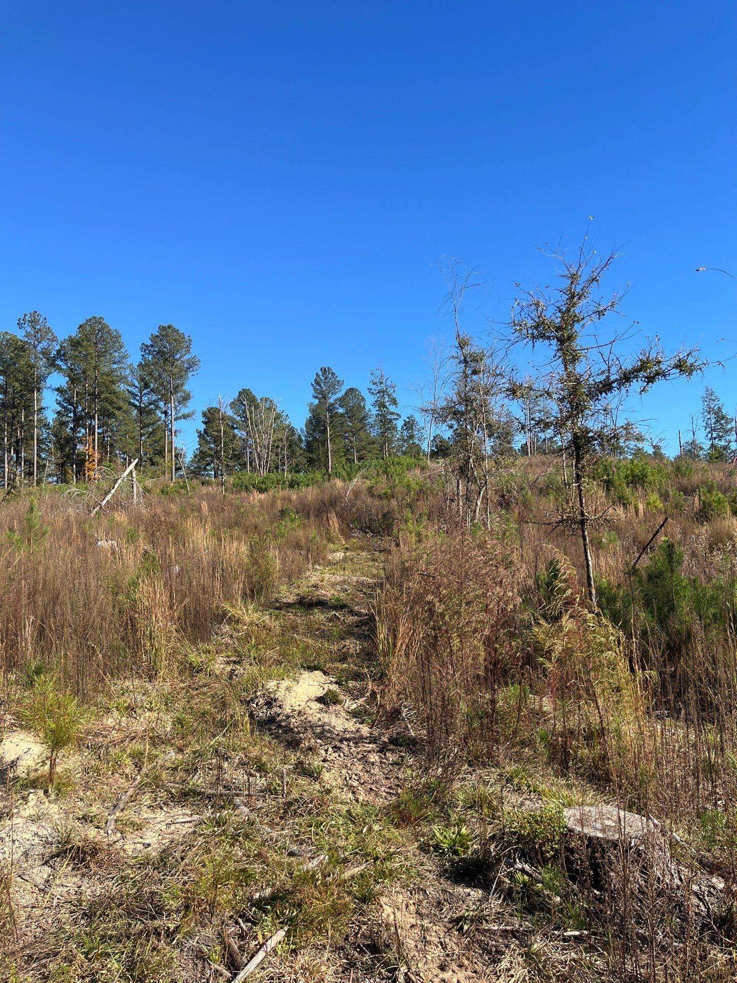 3 Dawkins Road, Unit DRF 3 Pacolet, SC 29372 - Photo 8 of 36