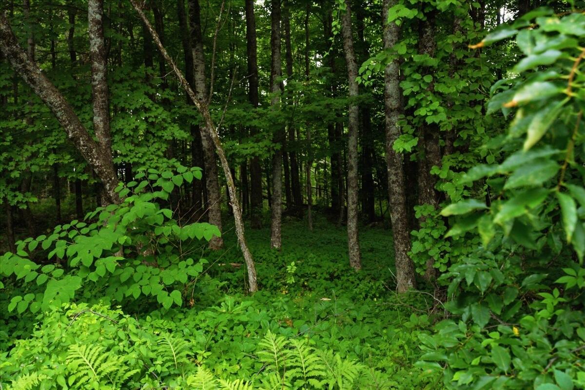 1135 Manchester Road Belgrade, ME 04917 - Photo 100 of 110 023-Exterior 10