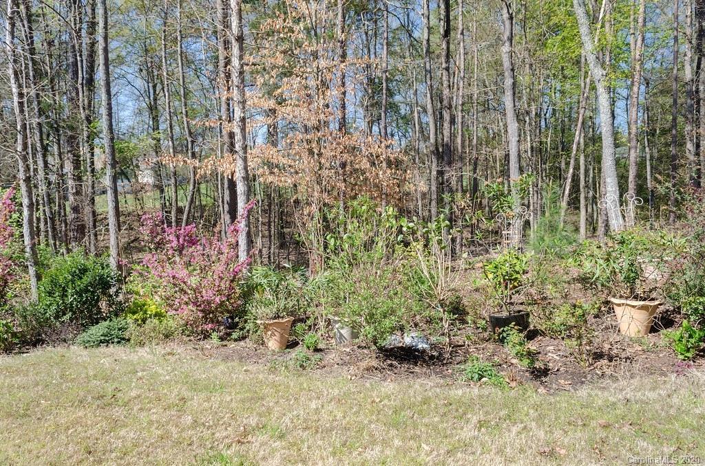 314 Skylar Court Fort Mill, SC 29708 - Photo 29 of 29