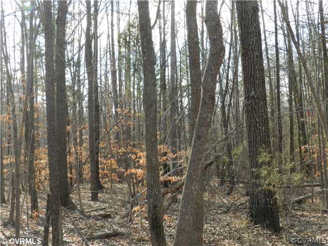 2 Genito Road Amelia Court House, VA 23002 - Photo 2 of 8 Gallery Image 2