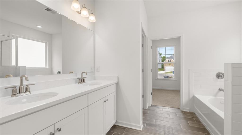 1775 Goodwin Drive Hampton, GA 30228 - Photo 27 of 49 a bathroom with a sink a mirror and a bathtub