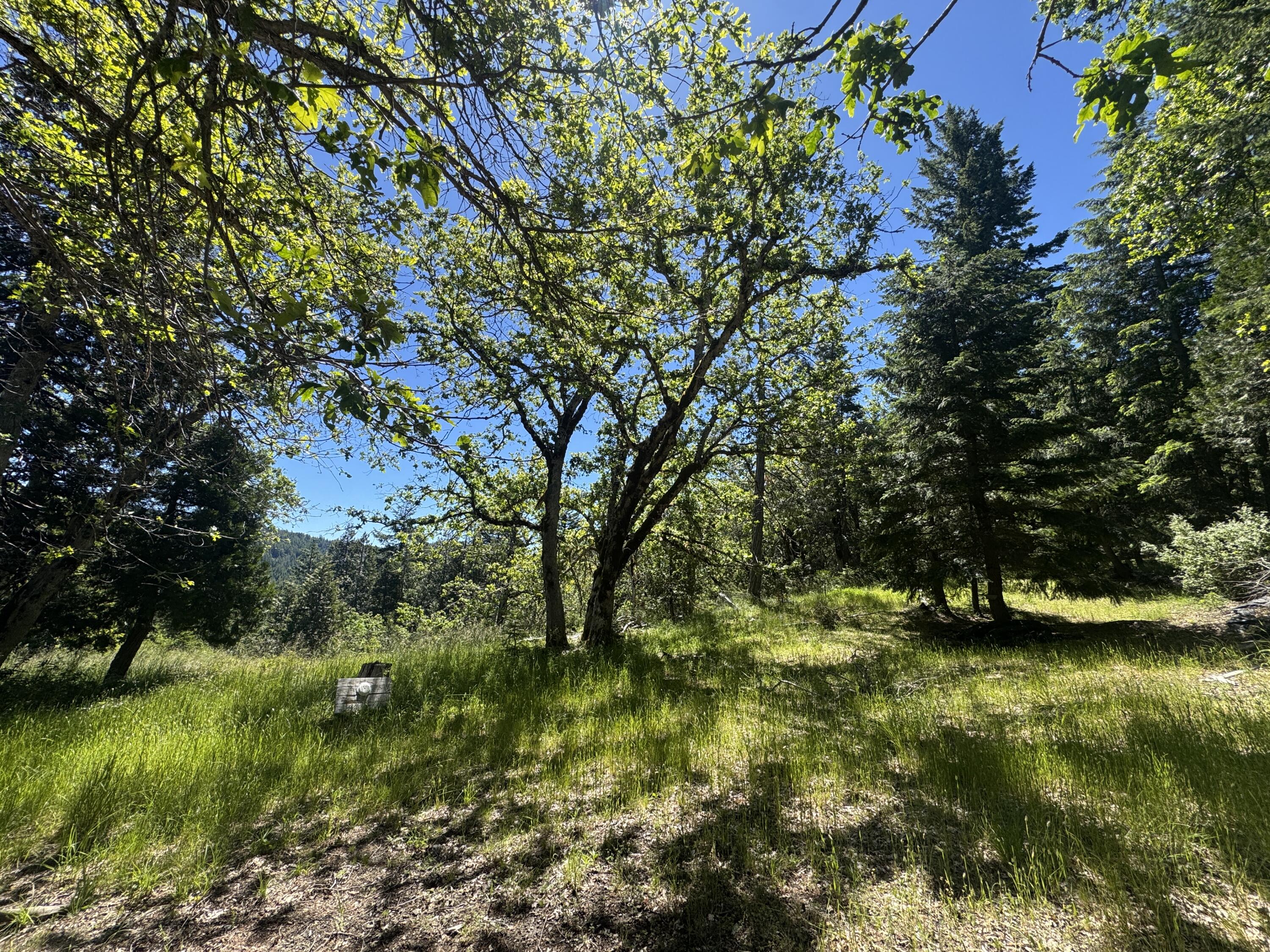 40-acres Snow Camp Road Korbel, CA 95550 - Photo 9 of 26
