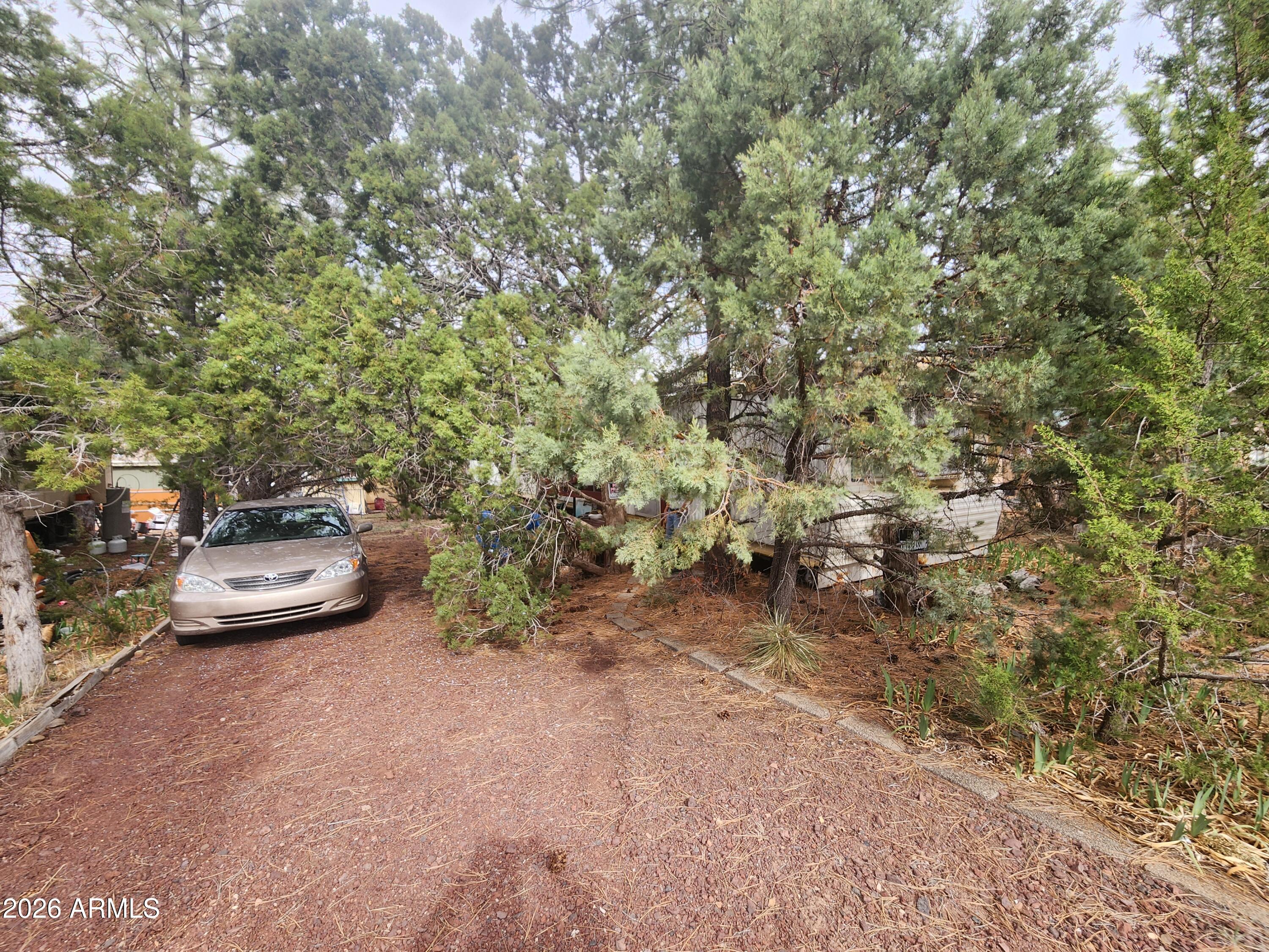 2400 Rogers Loop Show Low, AZ 85901 - Photo 10 of 16 20250412_154038