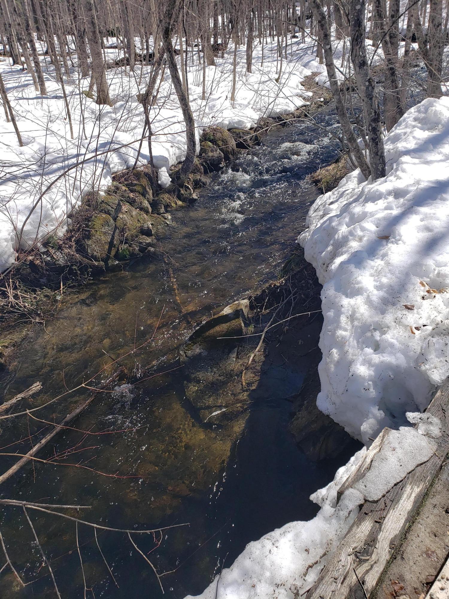 158 Music Road Farmington, ME 04938 - Photo 11 of 20 20190417_142226