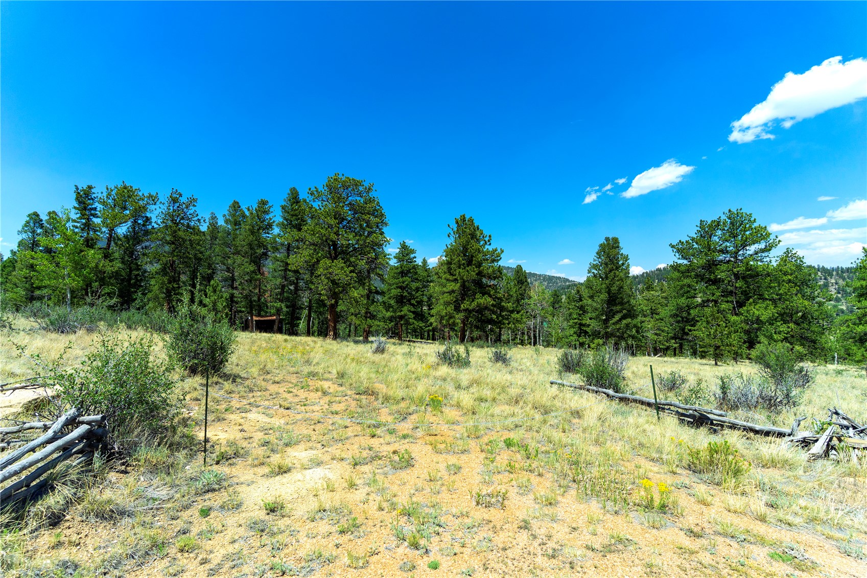 1036 Pulver Road Lake George, CO 80827 - Photo 9 of 27