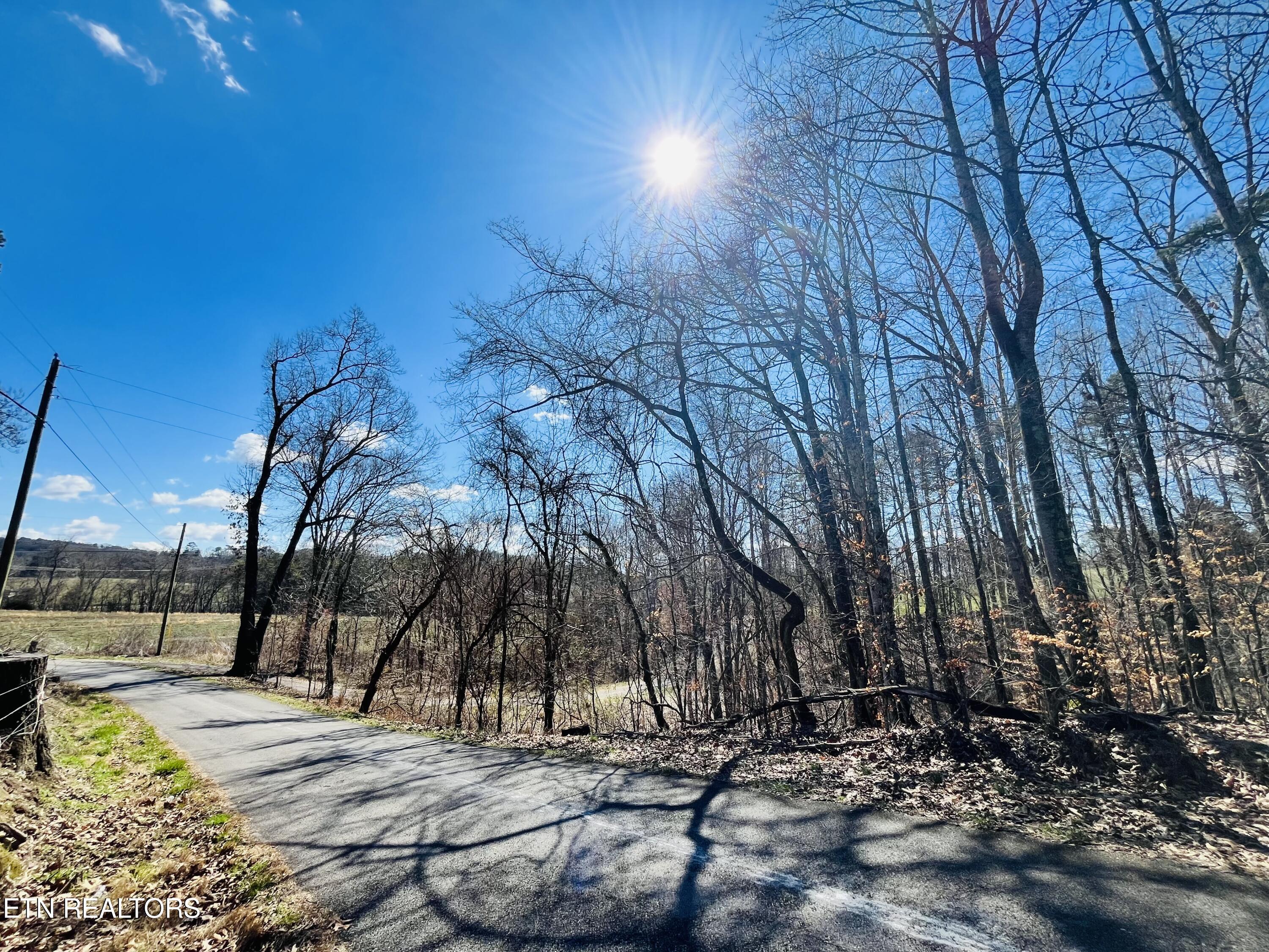 Beckham Road Rutledge, TN 37861 - Photo 1 of 17 IMG_2146