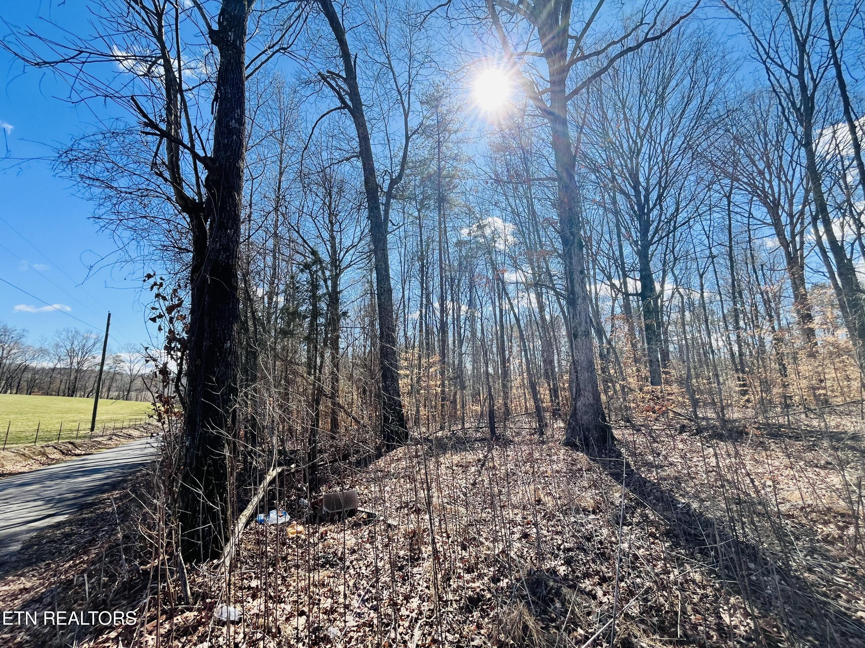 Beckham Road Rutledge, TN 37861 - Photo 15 of 17 IMG_2223