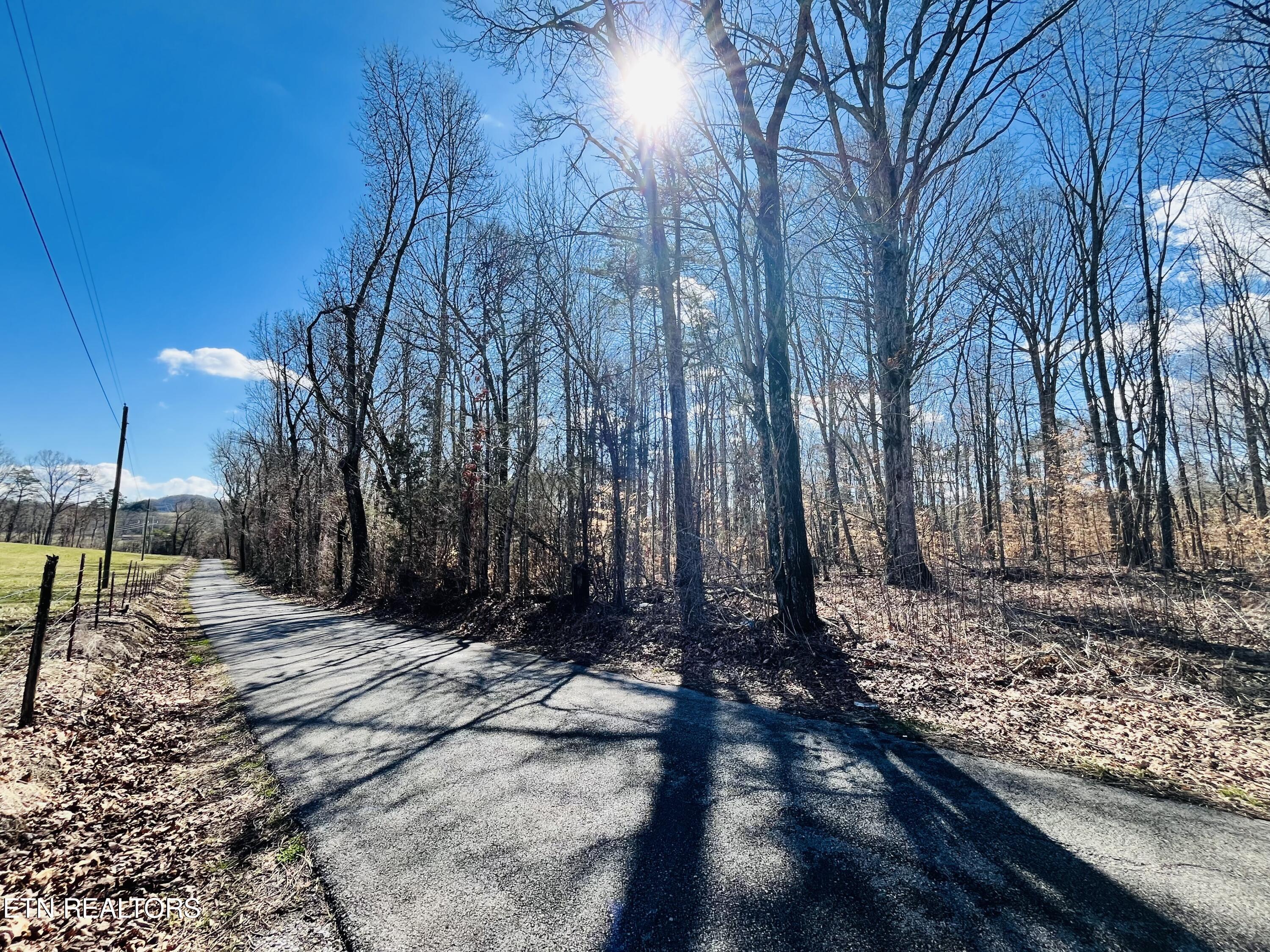 Beckham Road Rutledge, TN 37861 - Photo 16 of 17 IMG_2214