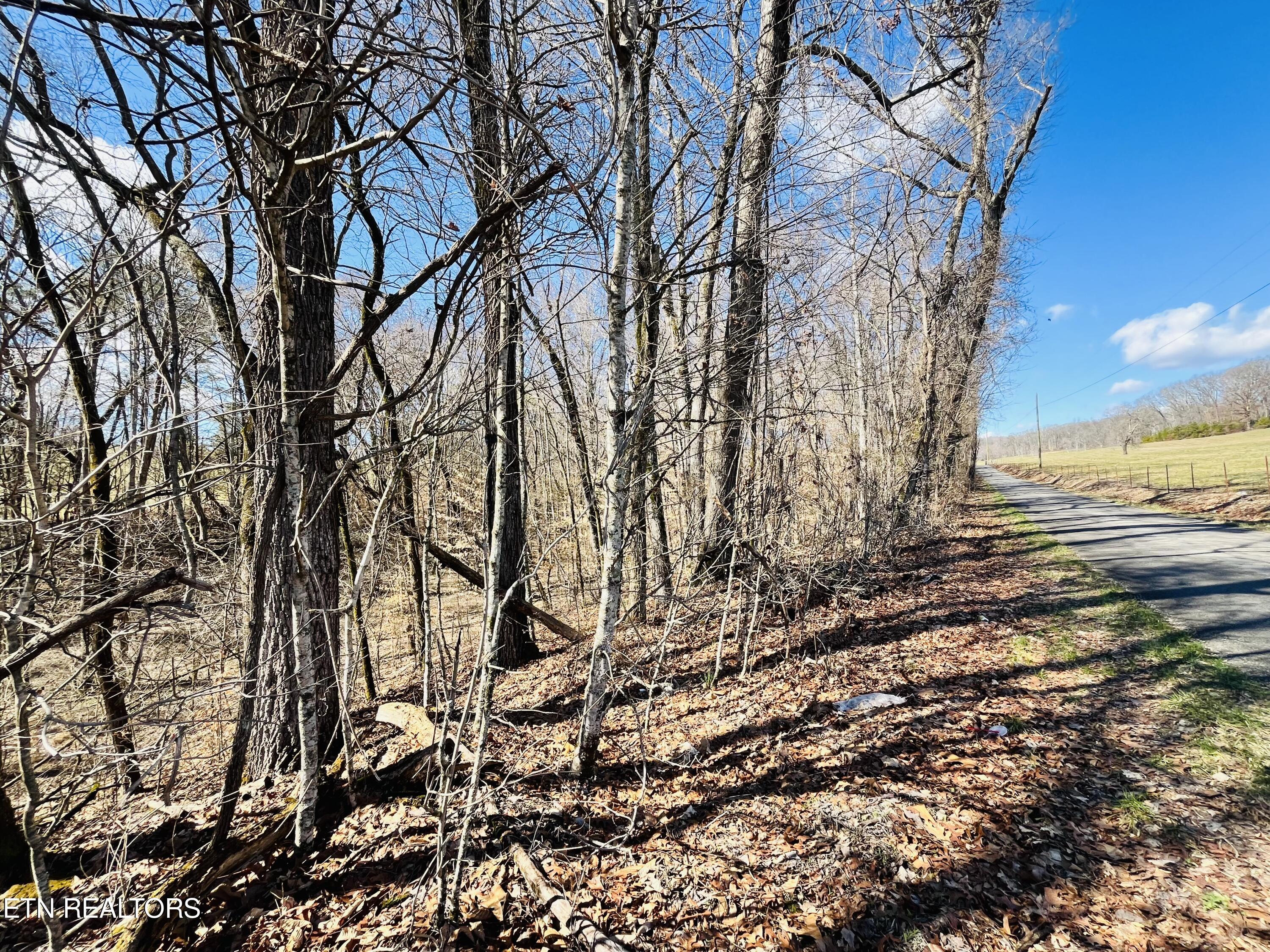 Beckham Road Rutledge, TN 37861 - Photo 2 of 17 IMG_2208