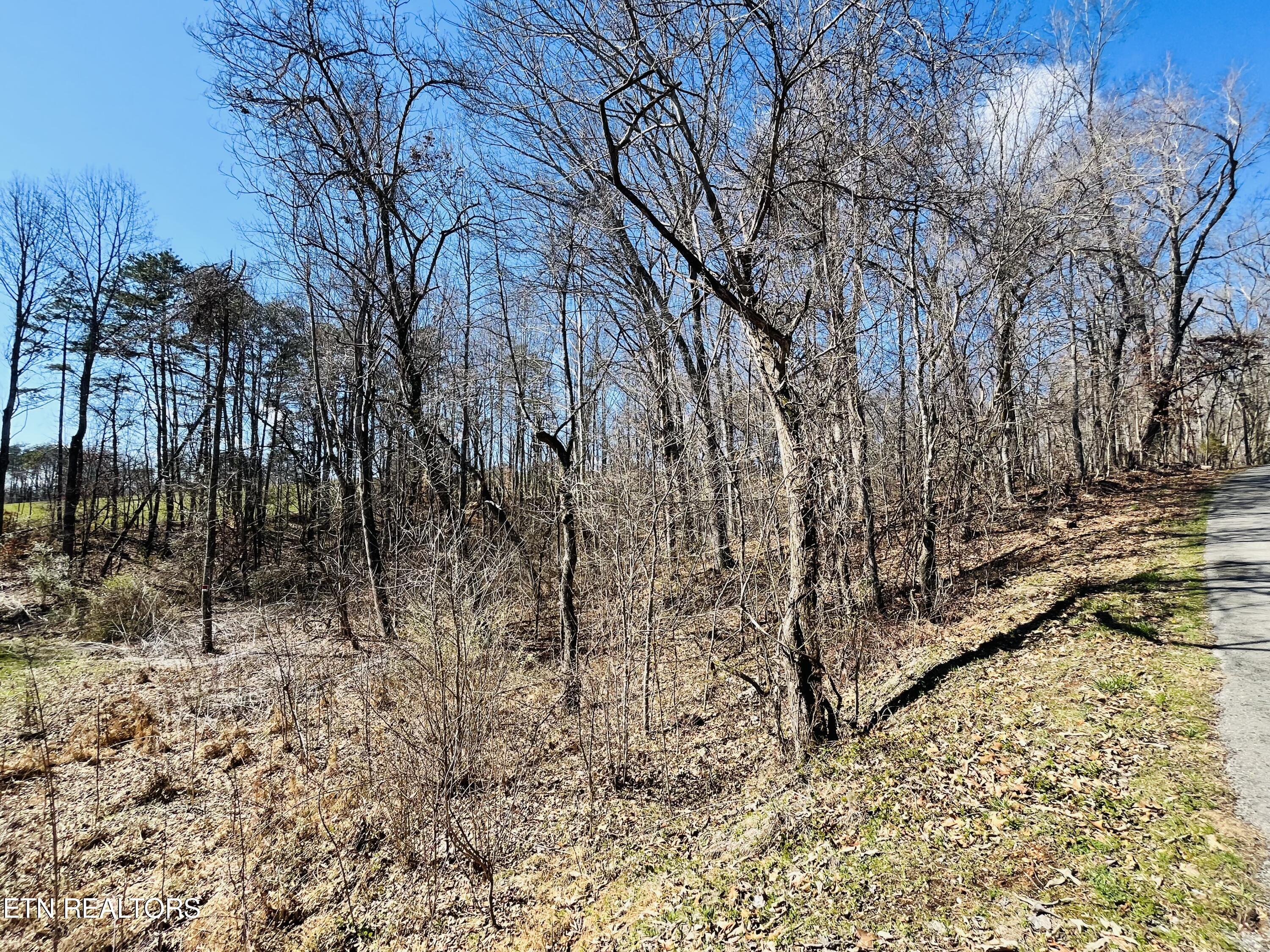 Beckham Road Rutledge, TN 37861 - Photo 3 of 17 IMG_2143