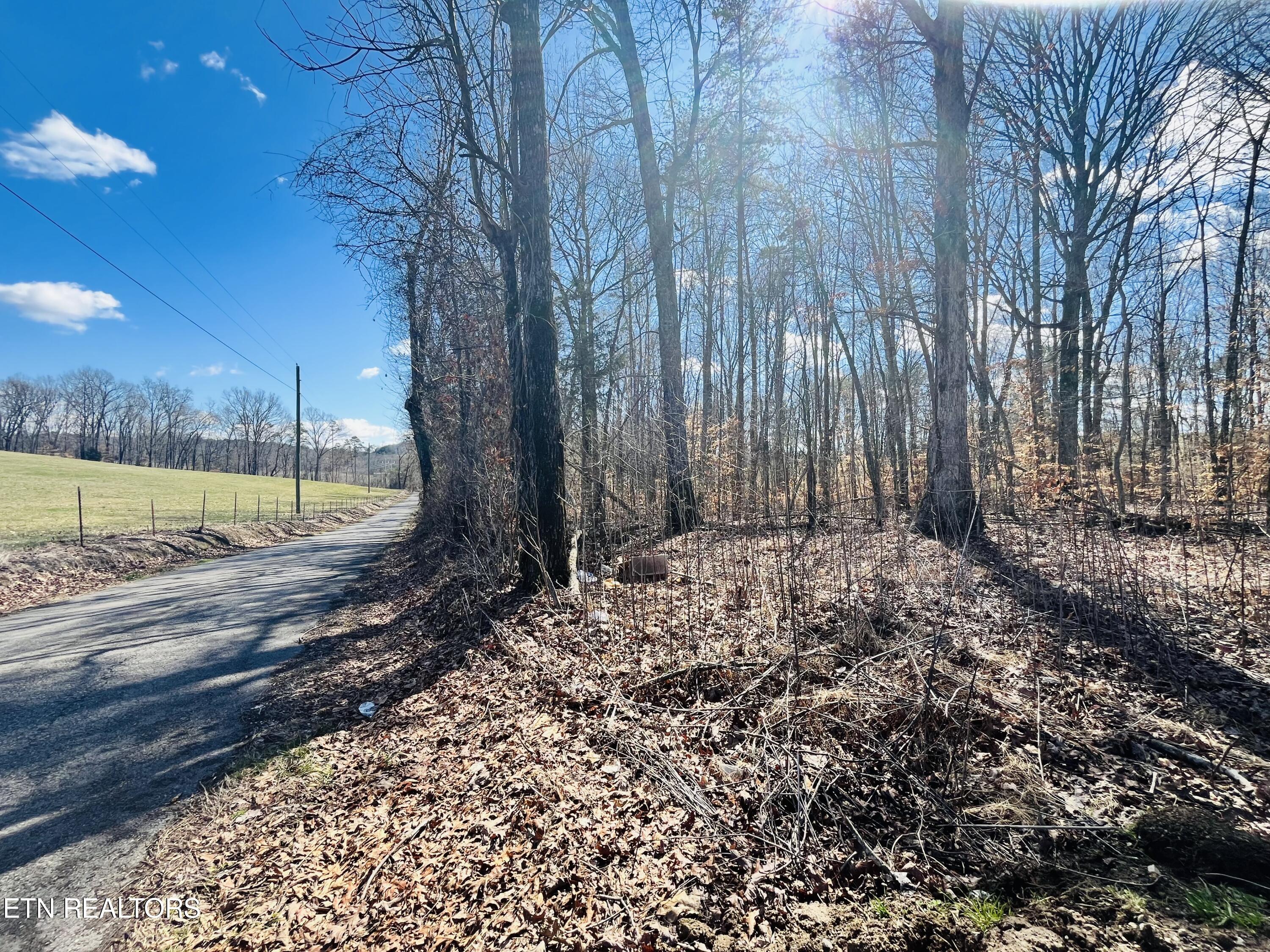 Beckham Road Rutledge, TN 37861 - Photo 7 of 17 IMG_2251