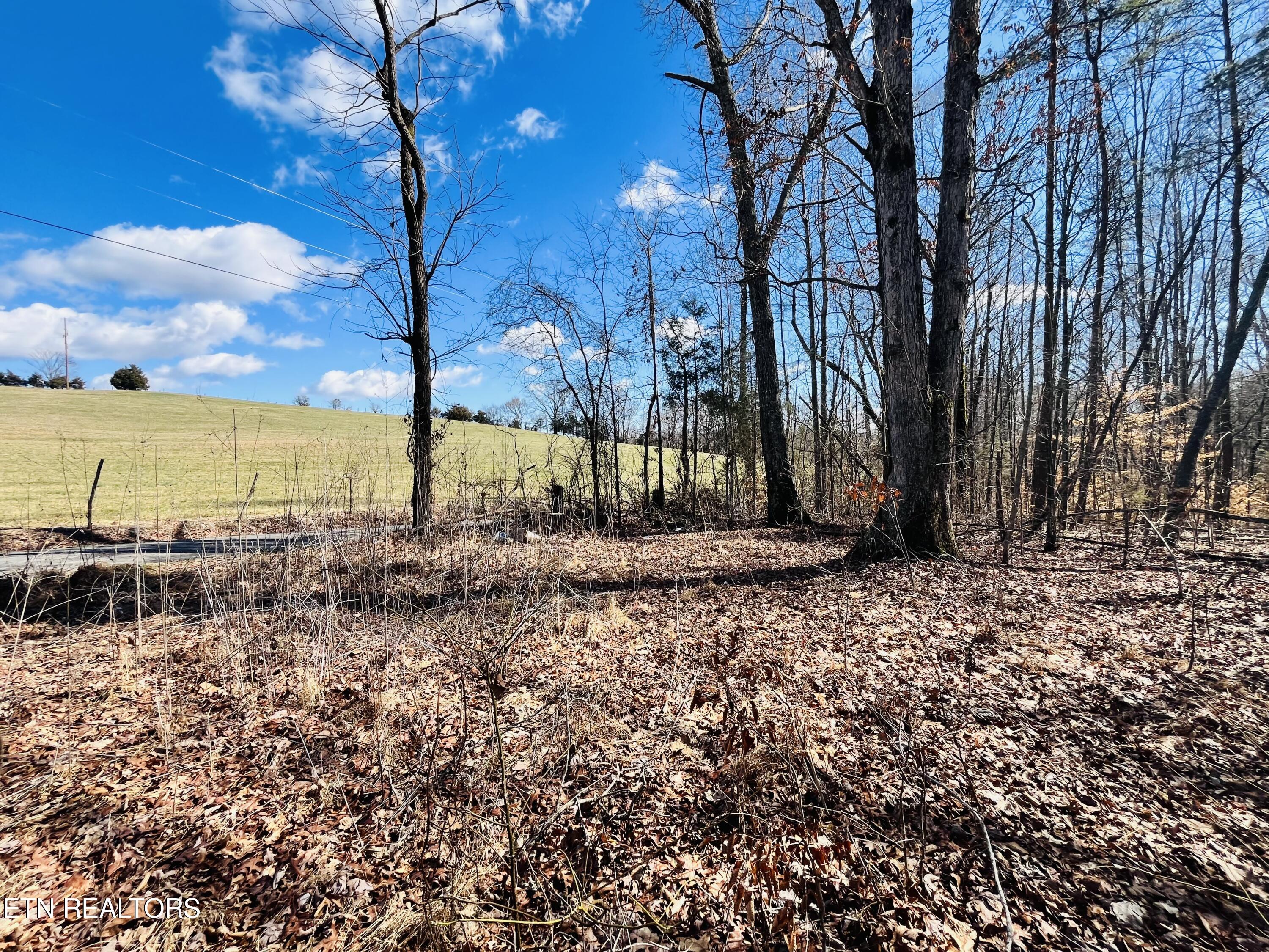 Beckham Road Rutledge, TN 37861 - Photo 8 of 17 IMG_2225