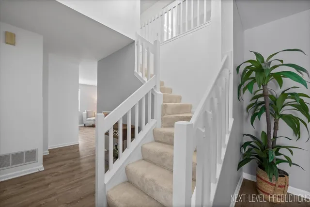 a view of staircase with potted plants