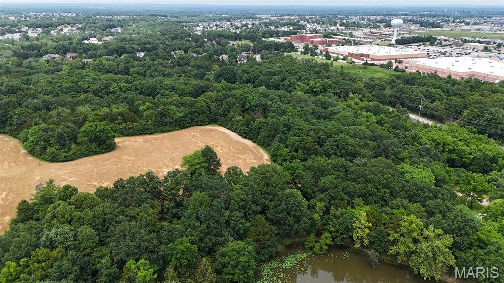 9-acres May Road Wentzville, MO 63385 - Photo 3 of 11
