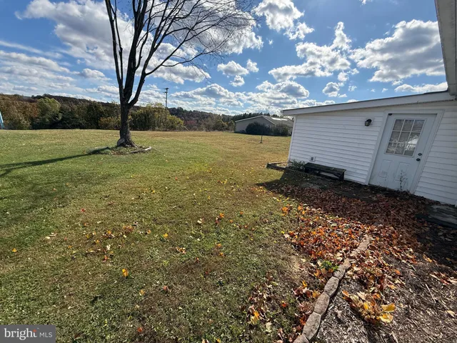 a view of a backyard with large trees