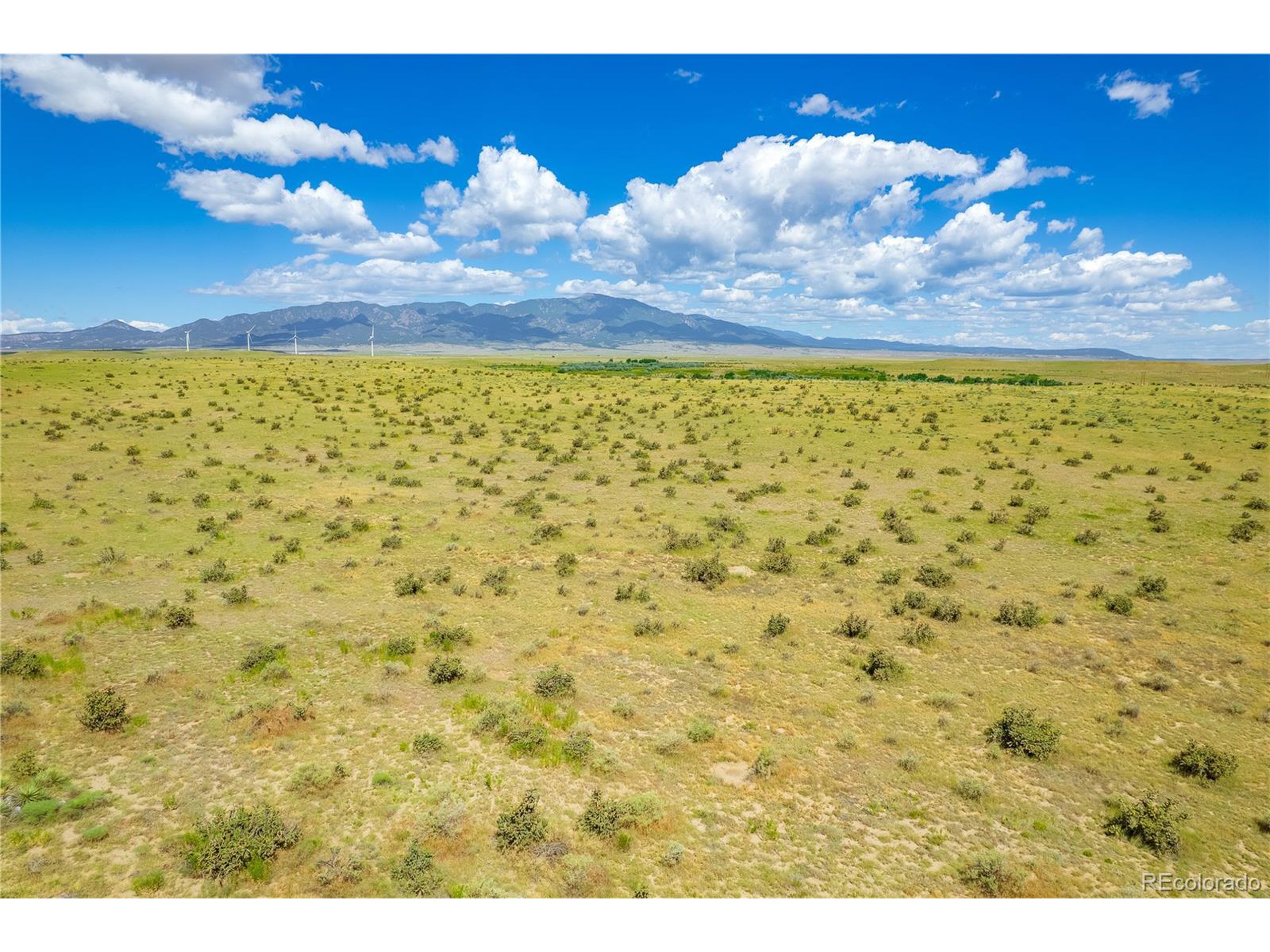 195 Colorado Land And Livestock Rye, CO 81069 - Photo 21 of 30