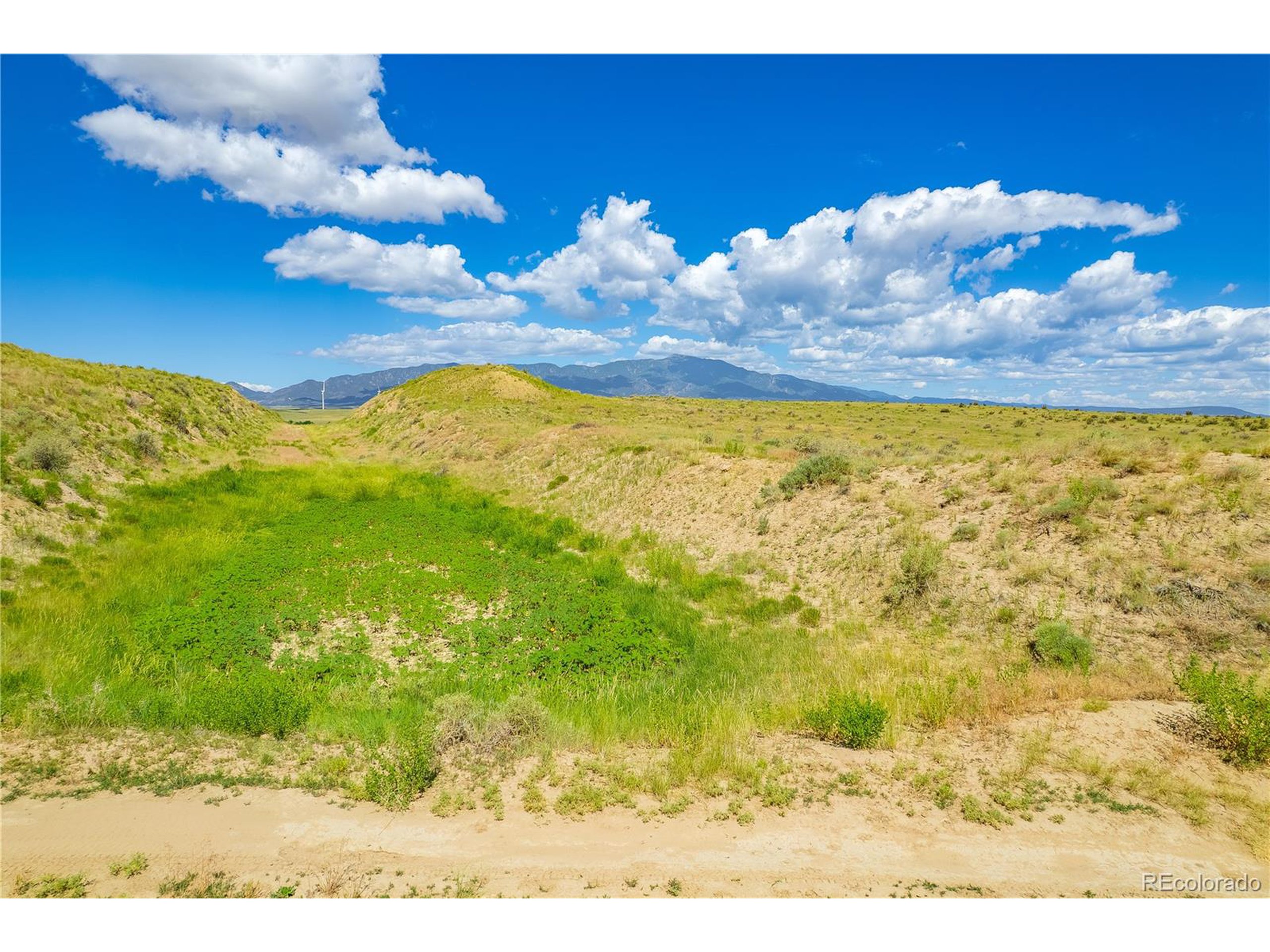 195 Colorado Land And Livestock Rye, CO 81069 - Photo 25 of 30 a view of a yard