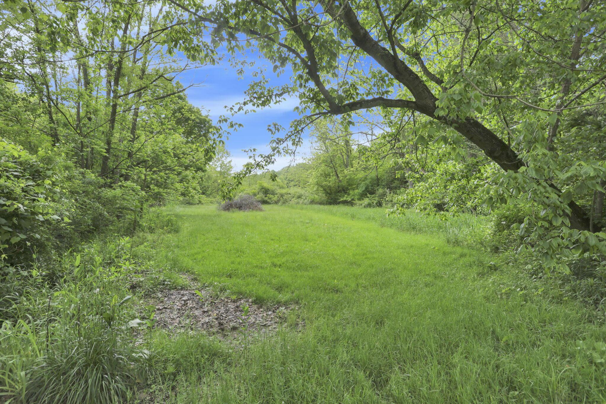 7485 Sugar Grove Road Southeast Sugar Grove, OH 43155 - Photo 65 of 95 68-web-or-mls-LO5A2389