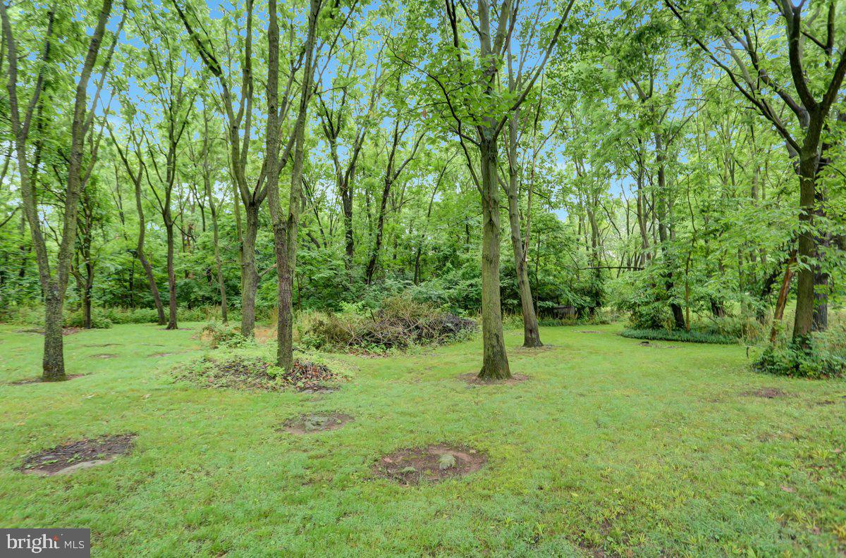 664 Pensinger Road Greencastle, PA 17225 - Photo 7 of 35 Pasture setting