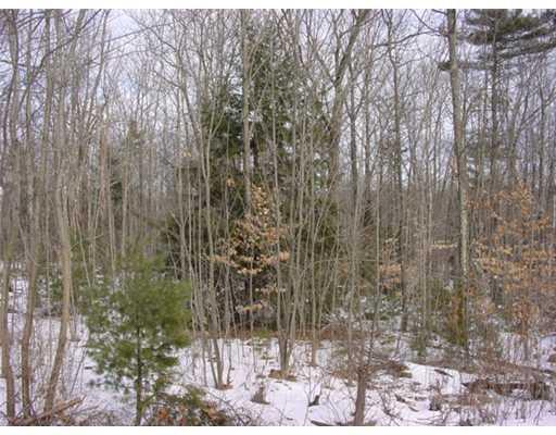 167 Long Hill Road Gray, ME 04039 - Photo 5 of 6 Yard/Garden.
