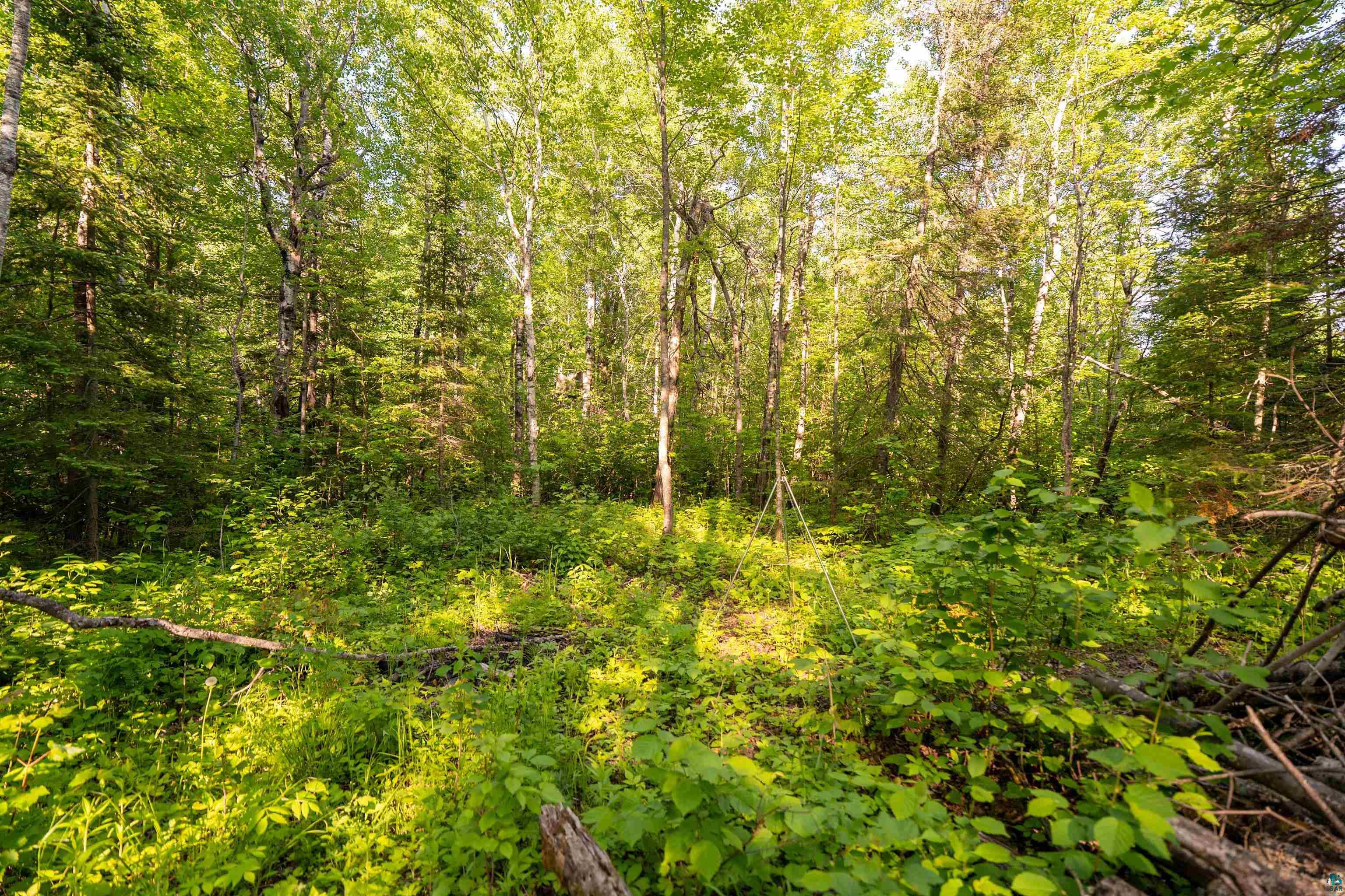 58-xx McQuade Road Duluth, MN 55804 - Photo 20 of 26
