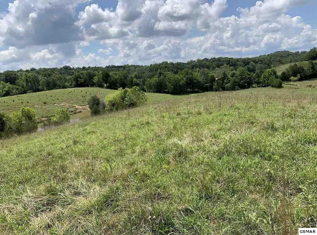 14 Herb Lane Newport, TN 37821 - Photo 1 of 7