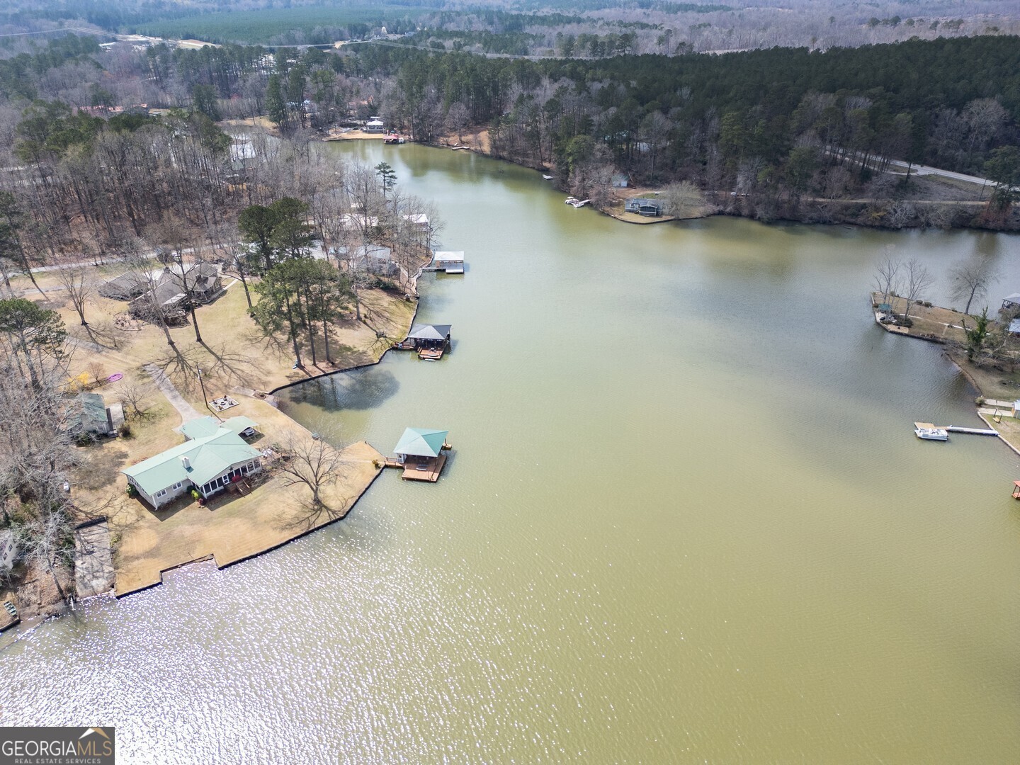 171 Blackberry Road Jackson, GA 30233 - Photo 64 of 78