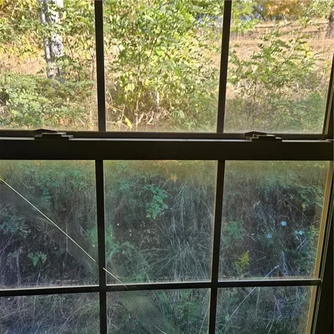 a view of a green field