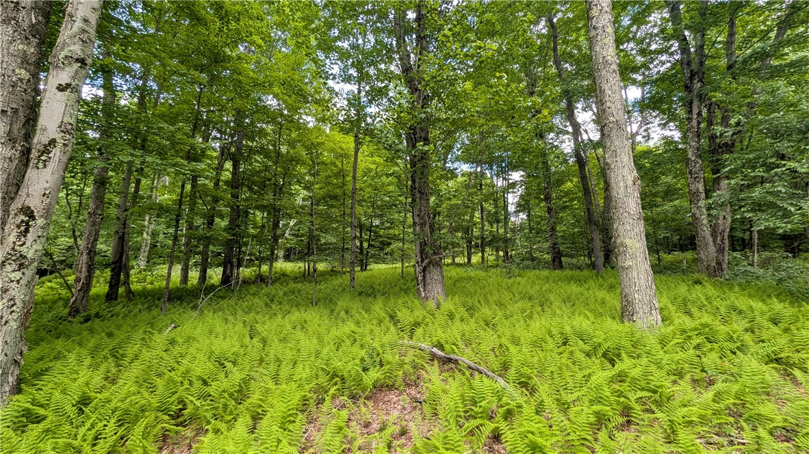 201 Sunrise Mountain Road Kortright, NY 13739 - Photo 49 of 49