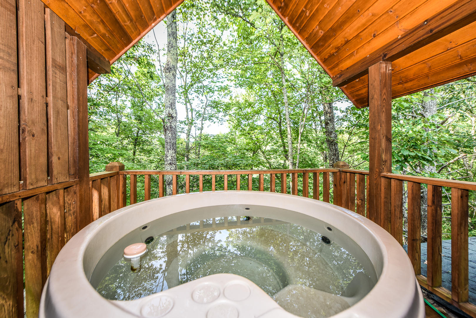 2114 Wolf Ridge Way Sevierville, TN 37862 - Photo 19 of 19 DSC_2374