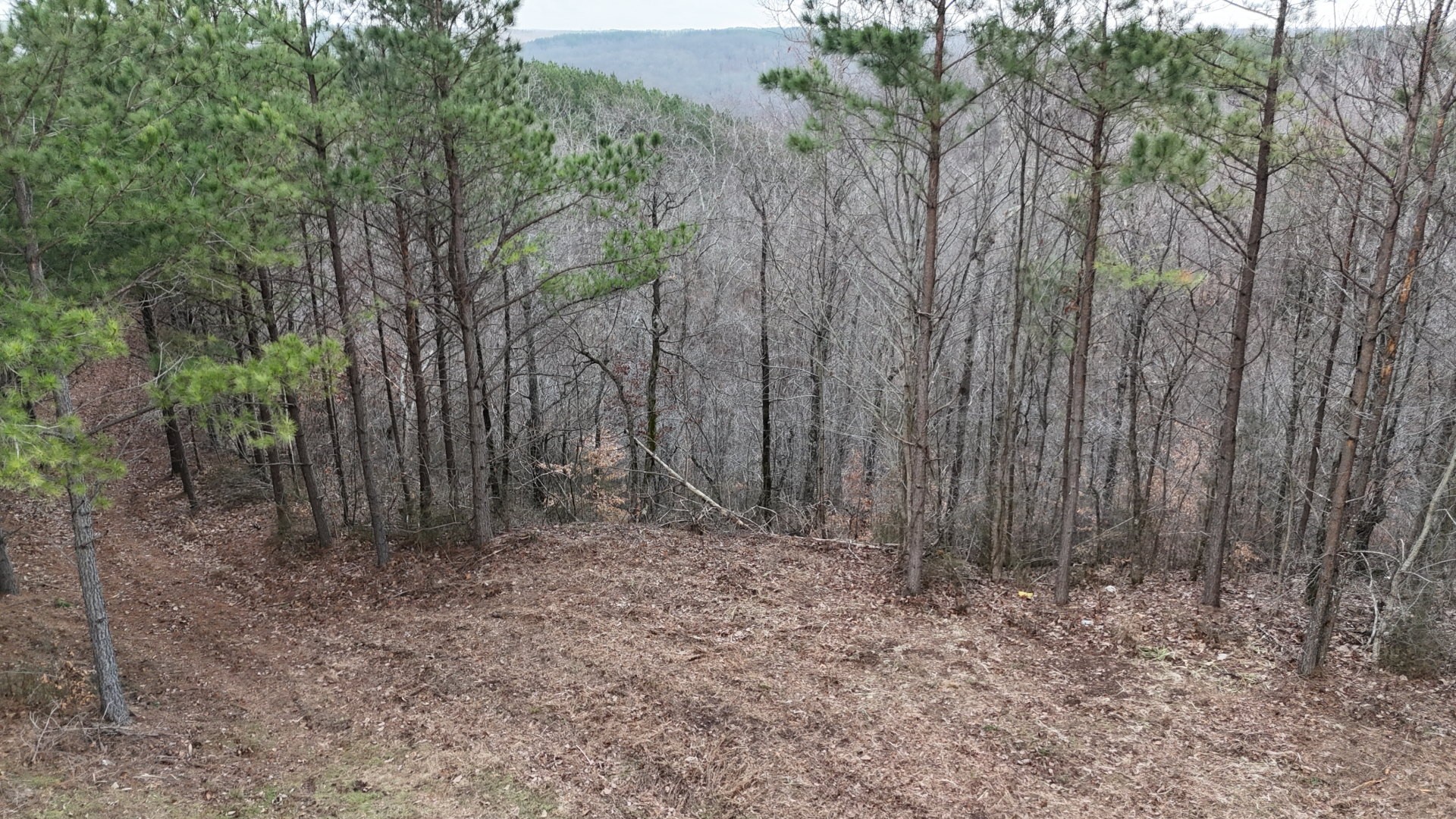 2932 Old Hohenwald Road Linden, TN 37096 - Photo 20 of 31 a view of a yard