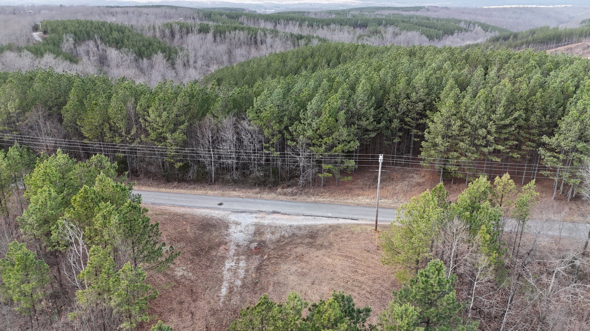 2932 Old Hohenwald Road Linden, TN 37096 - Photo 23 of 31 a view of outdoor space and yard