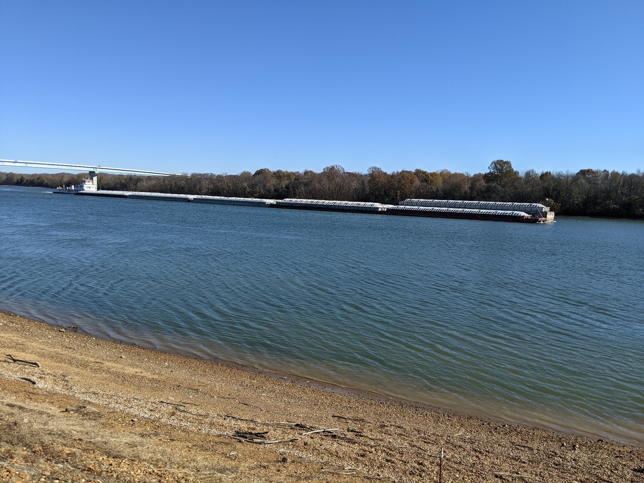 2932 Old Hohenwald Road Linden, TN 37096 - Photo 30 of 31 a view of lake and mountain