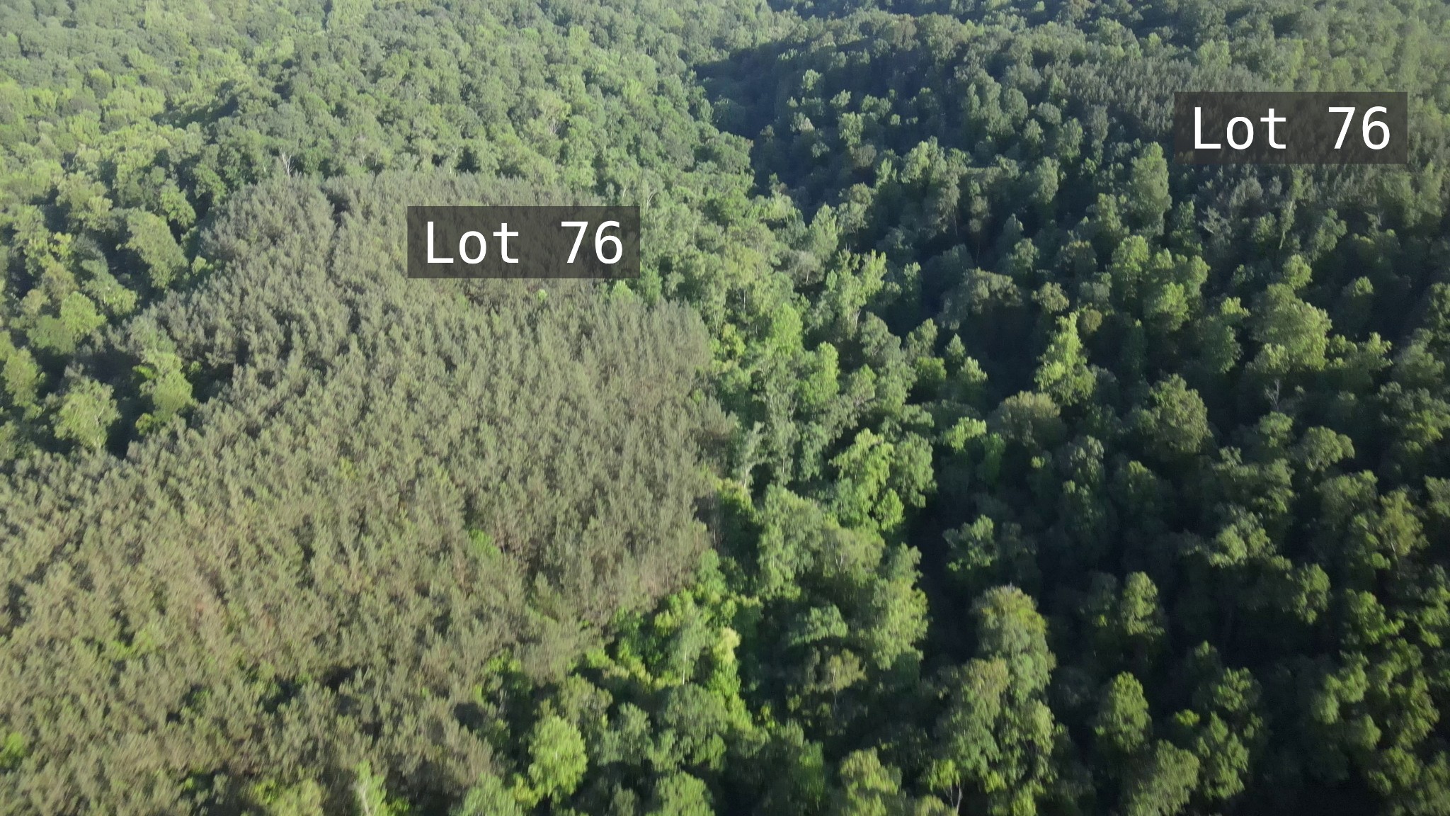 2932 Old Hohenwald Road Linden, TN 37096 - Photo 8 of 31 a sign that is on a pole