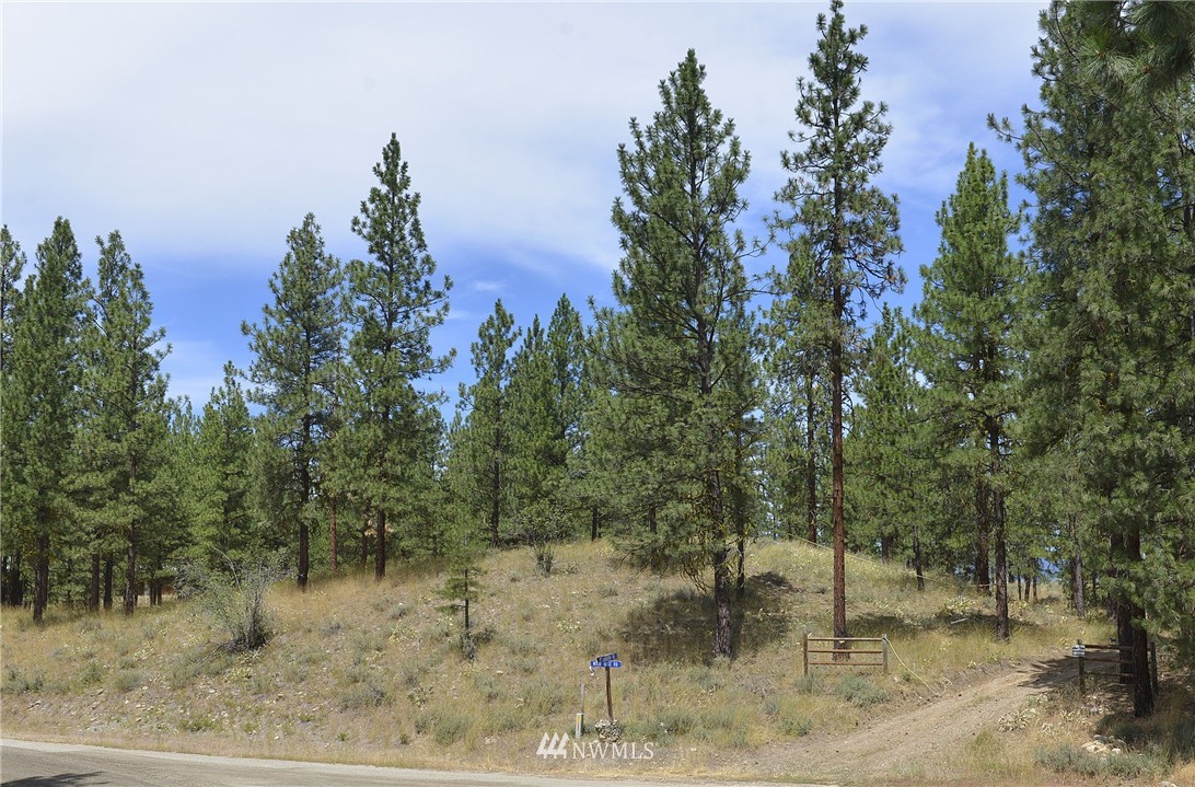 0 Wild Rose Road Winthrop, WA 98862 - Photo 1 of 20 Gallery Image 1