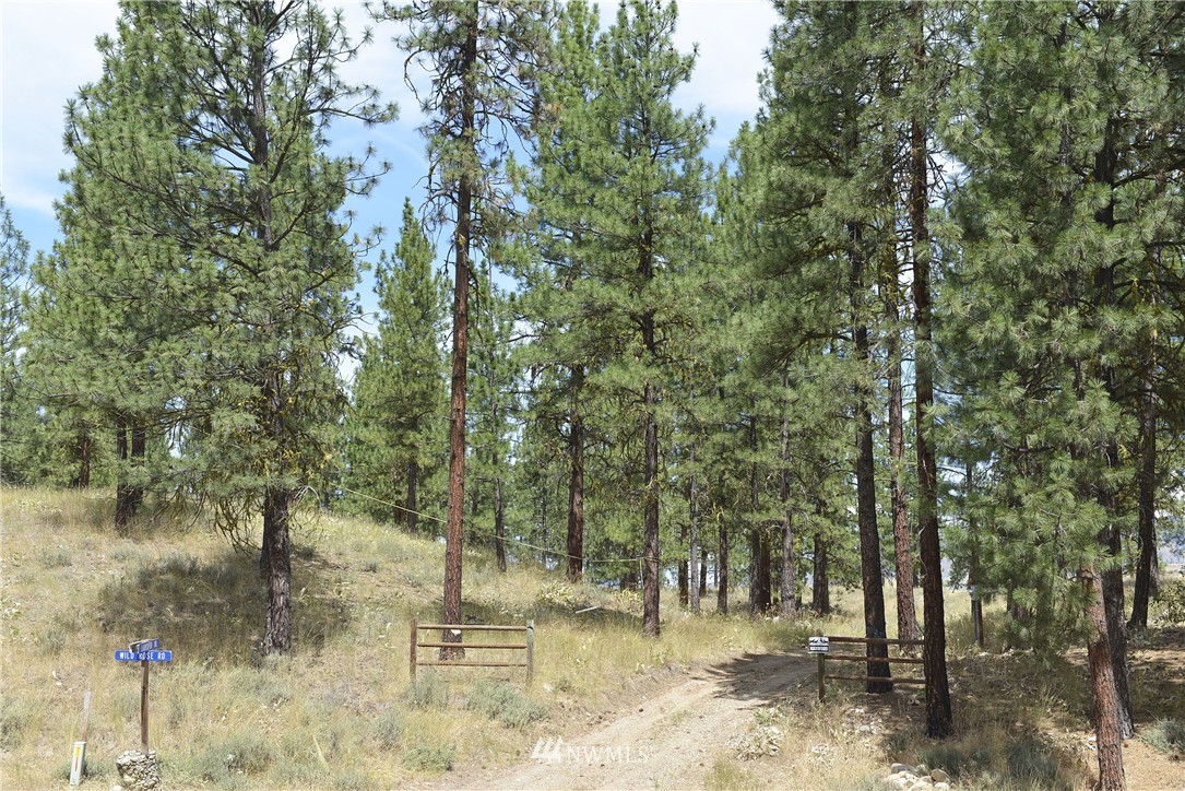 0 Wild Rose Road Winthrop, WA 98862 - Photo 2 of 20 Gallery Image 2