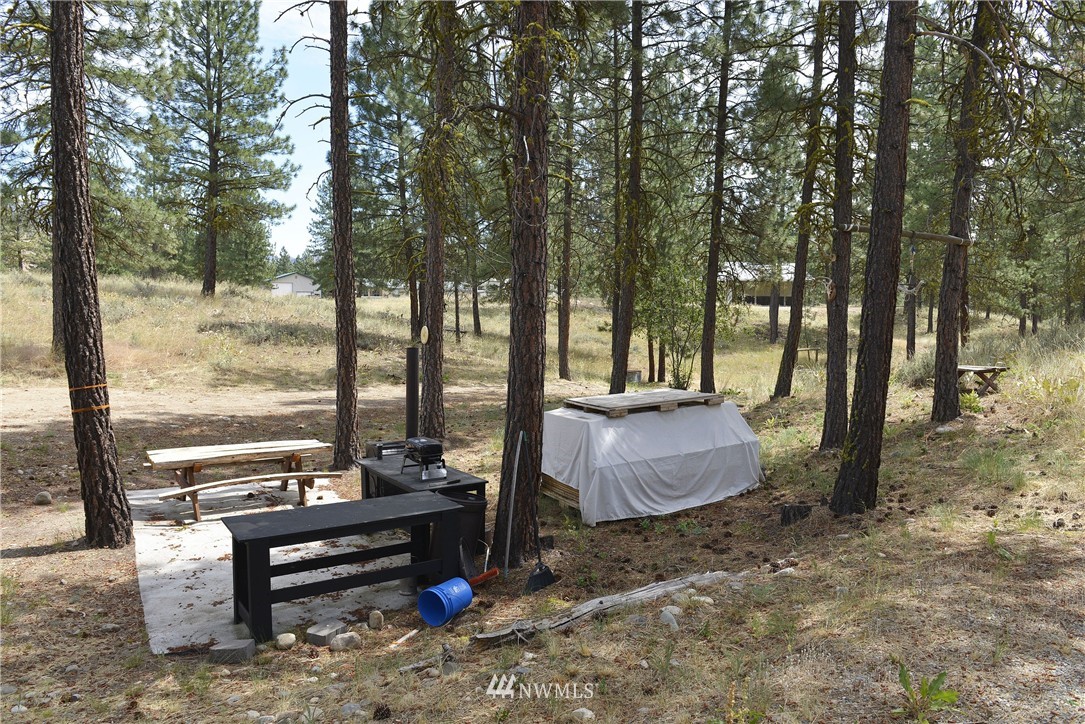 0 Wild Rose Road Winthrop, WA 98862 - Photo 15 of 20 Gallery Image 15