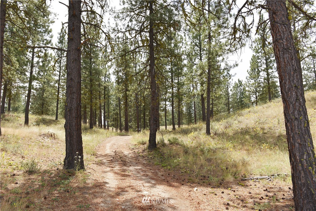 0 Wild Rose Road Winthrop, WA 98862 - Photo 3 of 20 Gallery Image 3