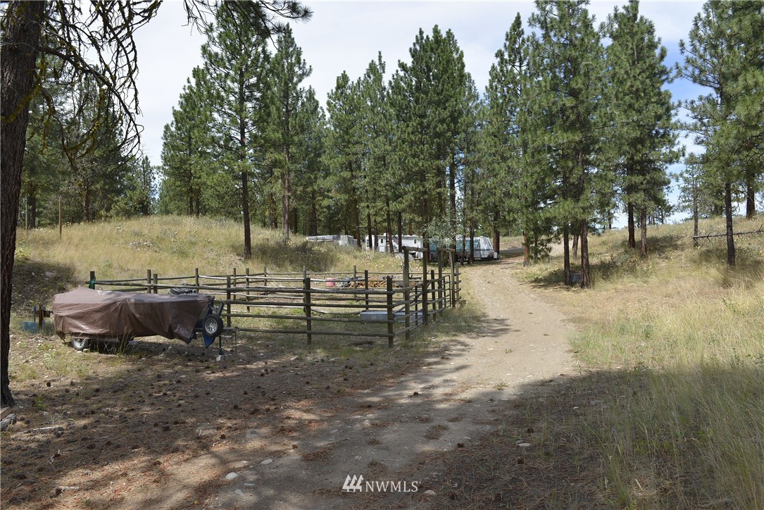 0 Wild Rose Road Winthrop, WA 98862 - Photo 4 of 20 Gallery Image 4
