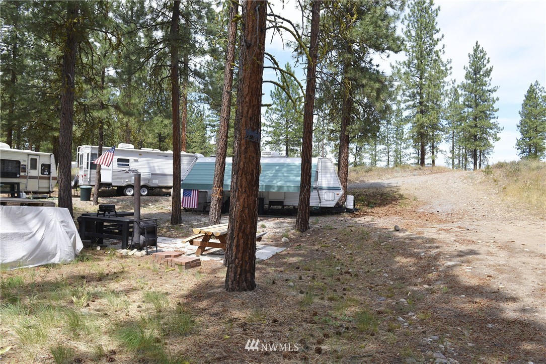 0 Wild Rose Road Winthrop, WA 98862 - Photo 7 of 20 Gallery Image 7
