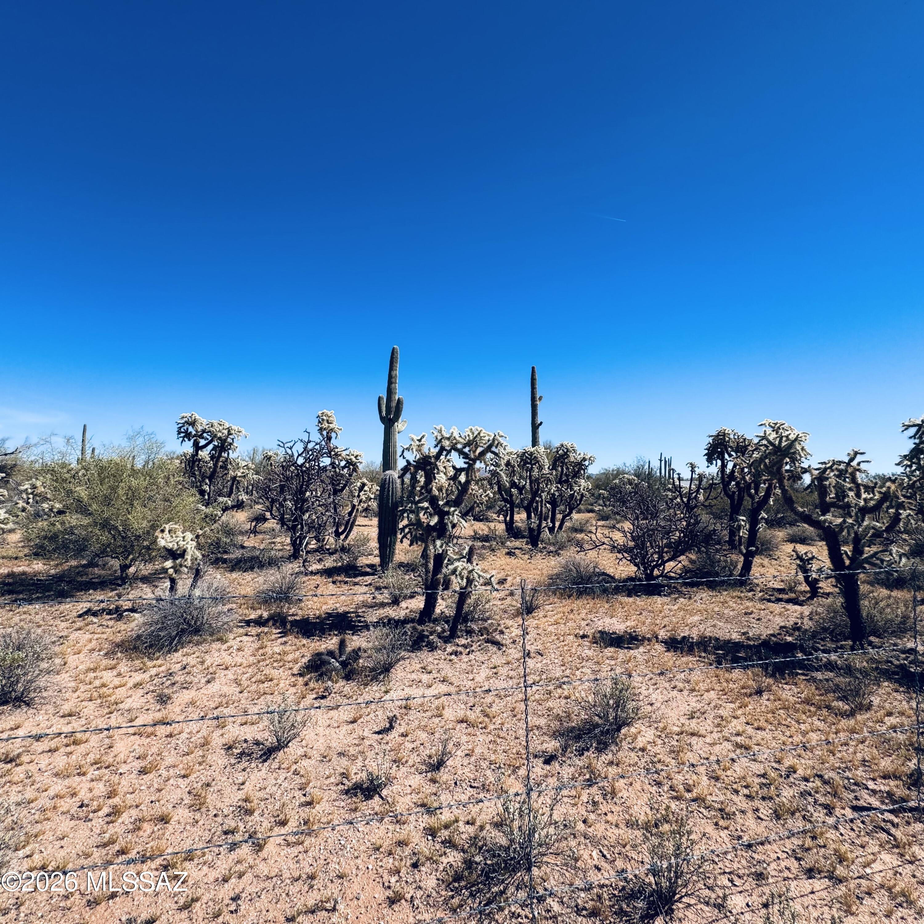 0 South Cattle Tank Road Marana, AZ 85658 - Photo 15 of 18 IMG_3135