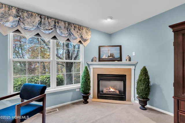 a living room with furniture a window and a fireplace