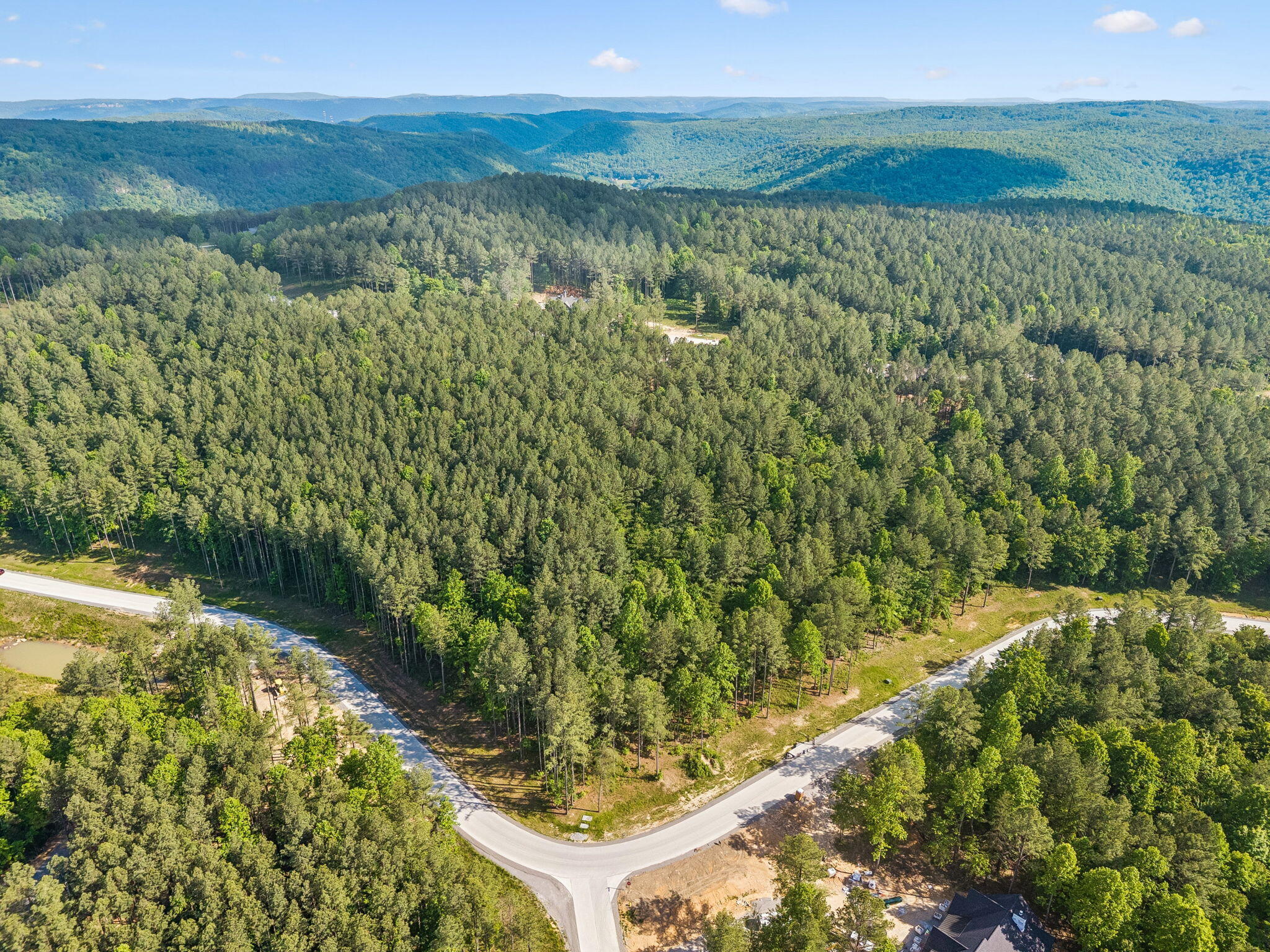 1109 Birds Eye Way Guild, TN 37340 - Photo 1 of 24 15-10213 TN-156 Lot #1109 Guild - 015